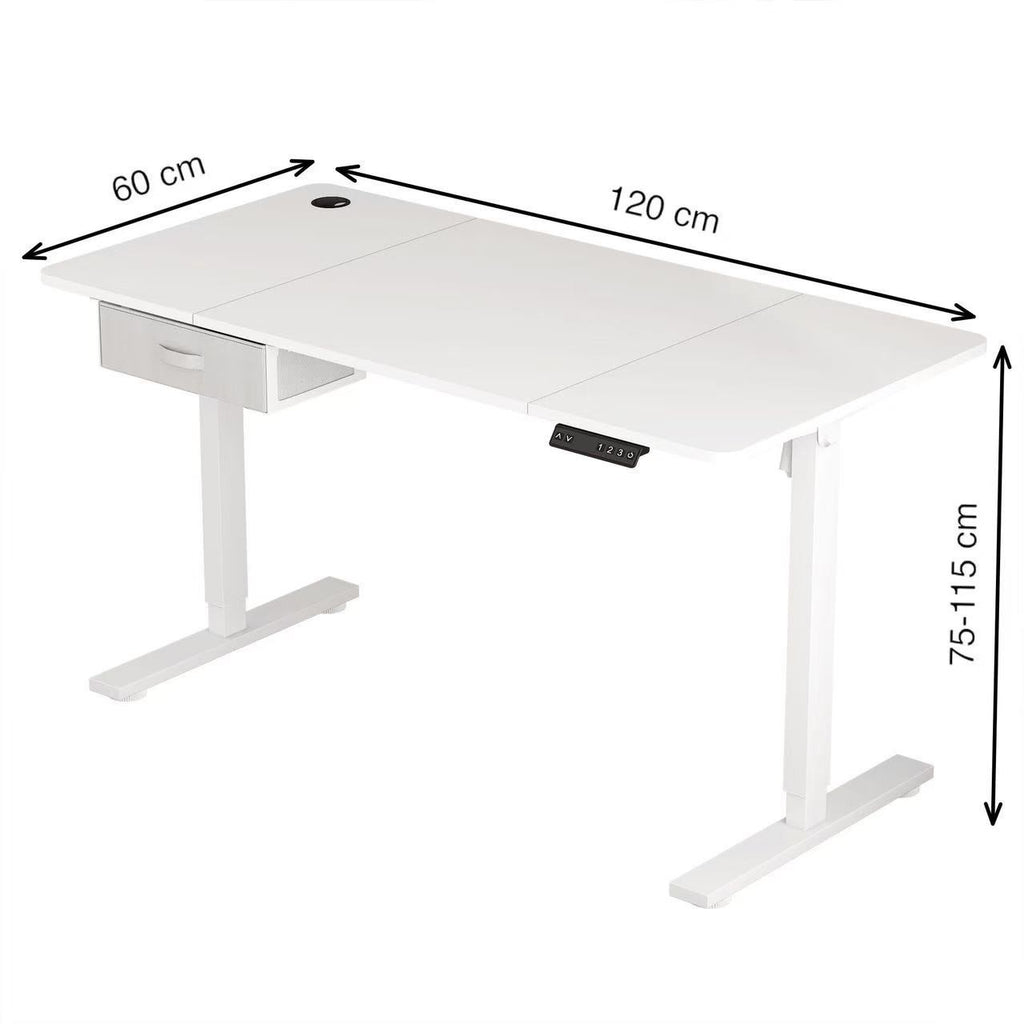 Height Adjustable Electric Standing Desk with Desk Drawer