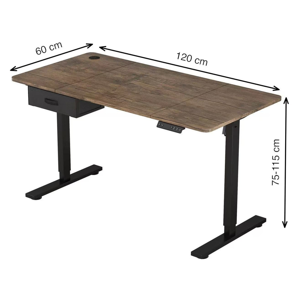 Height Adjustable Electric Standing Desk with Desk Drawer