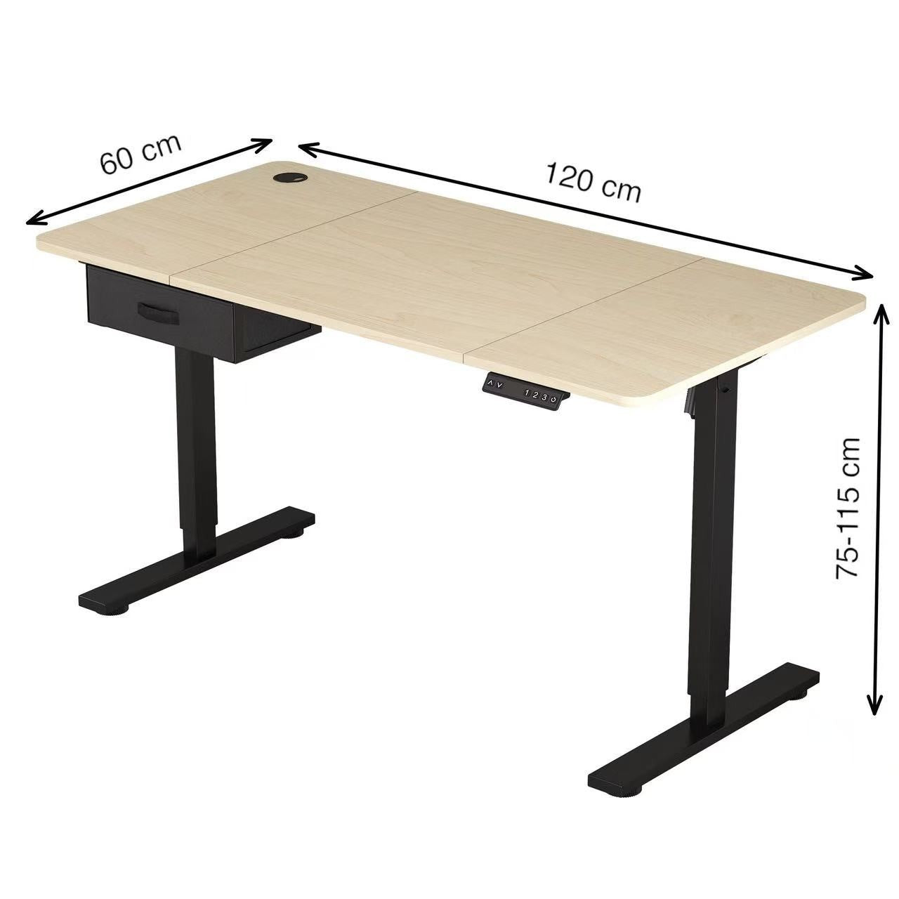 Height Adjustable Electric Standing Desk with Desk Drawer