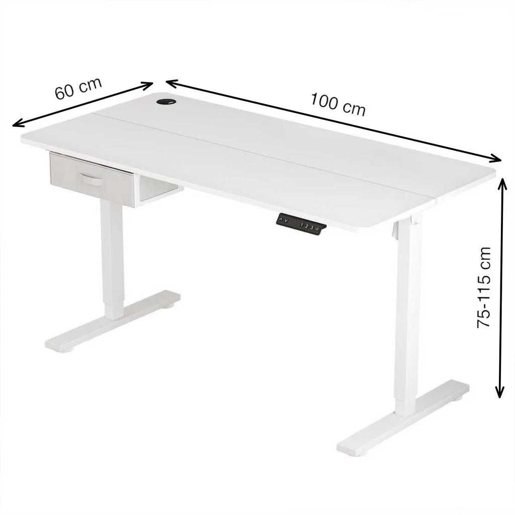 Height Adjustable Electric Standing Desk with Desk Drawer